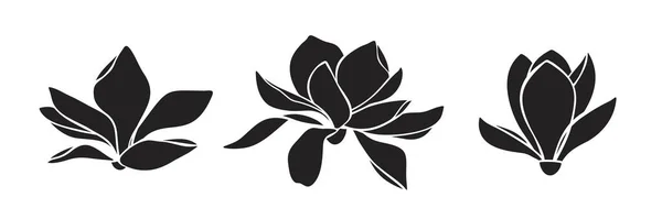マグノリアの花 白い背景に孤立したモクレンの花の黒いシルエットのセット ベクターイラスト — ストックベクタ
