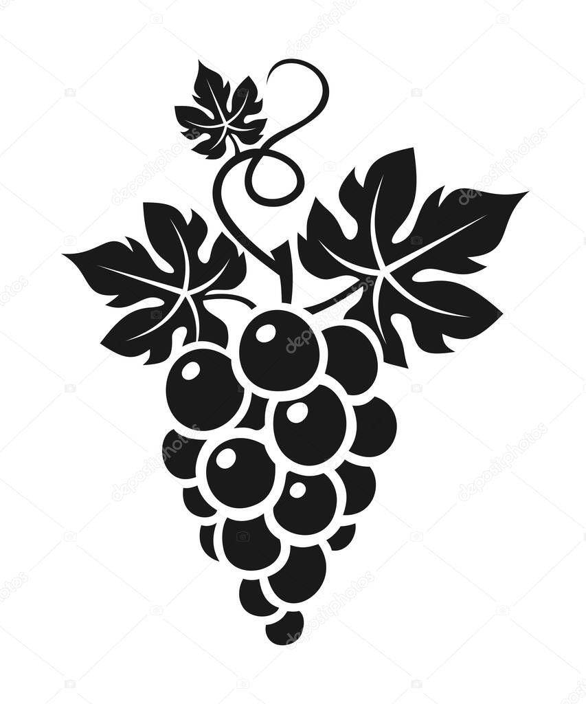 Bunch of grapes with leaves. Vector black silhouette of grapes isolated on a white background