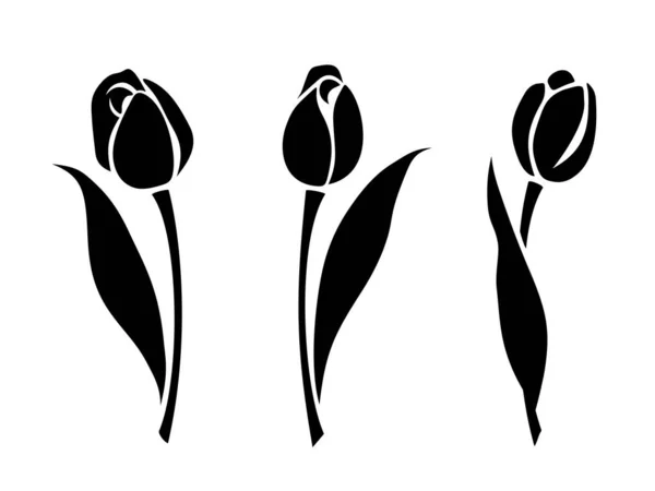 Tulipánové Květiny Sada Černých Siluet Tulipánů Izolovaných Bílém Pozadí Vektorová — Stockový vektor