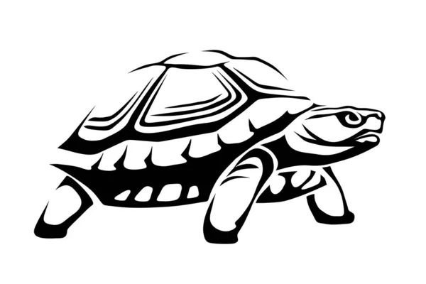 在白色背景上孤立的乌龟的黑白图解 矢量说明 — 图库矢量图片
