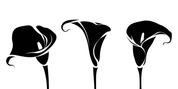 カラユリの花 白い背景に隔離されたカラの花の黒いシルエットのセット ベクターイラスト — ストックベクタ