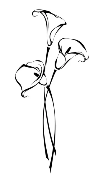 白い背景に孤立したカラユリの花の花束 コーラの花花束の輪郭の描画 ベクトル黒と白のイラスト — ストックベクタ