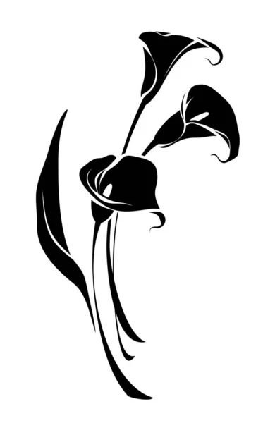Bouquet Von Calla Lilienblüten Isoliert Auf Weißem Hintergrund Schwarze Silhouette — Stockvektor