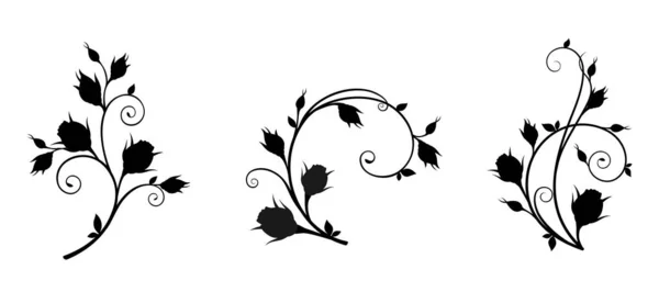 具有玫瑰芽和叶子的分枝的黑色轮廓 在白色的背景上被隔离 花装饰元素与玫瑰花蕾 一套矢量图解 — 图库矢量图片