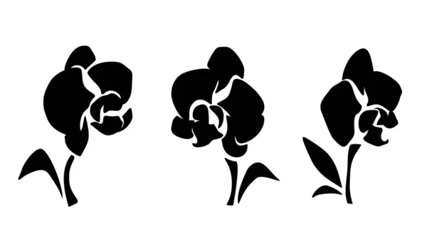 Orchidee Bloemen Zwarte Silhouetten Van Orchidee Bloemen Geïsoleerd Een Witte — Stockvector