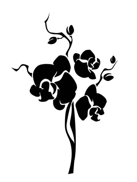 Flores Orquídea Silueta Negra Rama Orquídea Aislada Sobre Fondo Blanco — Vector de stock