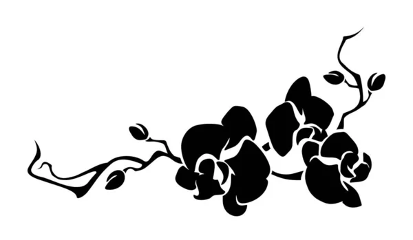 Orchid Flowers Branch Black Silhouette Orchid Branch Isolated White Background — Stock Vector
