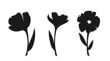 Çiçekler. Beyaz arka planda izole edilmiş siyah çiçek siluetleri. Vektör çizimleri kümesi