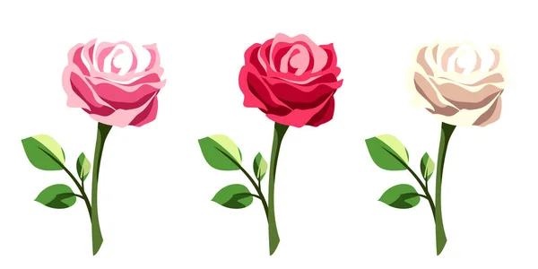 Розовые Цветы Стеблями Изолированы Белом Фоне Набор Красных Розовых Белых — стоковый вектор