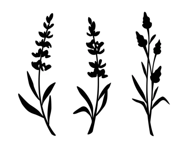 ラベンダーの花 白い背景に隔離されたラベンダーの花の黒いシルエット ラベンダーの枝 ベクターイラストのセット — ストックベクタ