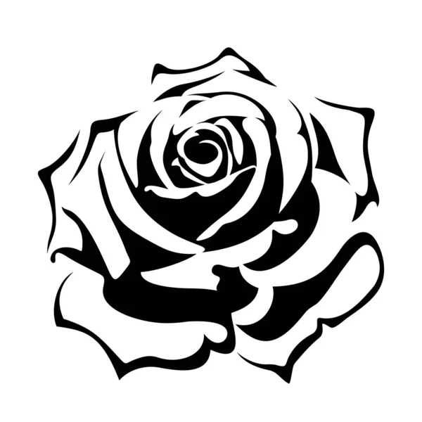 Rosenblüte Isoliert Auf Weißem Hintergrund Florales Tätowierdesign Vektor Schwarze Silhouette — Stockvektor
