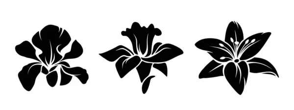 艾瑞丝 水仙花和百合花一组被白色背景隔开的黑色花朵轮廓 矢量说明 — 图库矢量图片