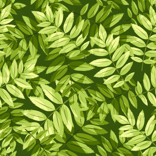 Padrão Sem Costura Com Folhas Verdes Rowan Impressão Floral Vetorial — Vetor de Stock