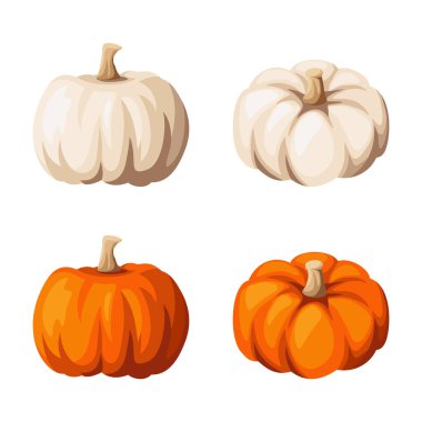 Beyaz arka planda turuncu ve beyaz balkabakları izole edilmiş. Vektör çizimleri kümesi