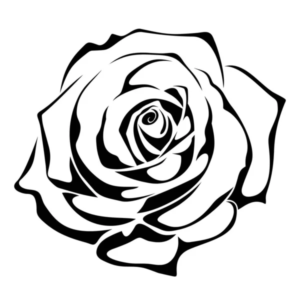 Rozenbloem Geïsoleerd Een Witte Achtergrond Bloemen Tatoeage Ontwerp Vector Zwart — Stockvector