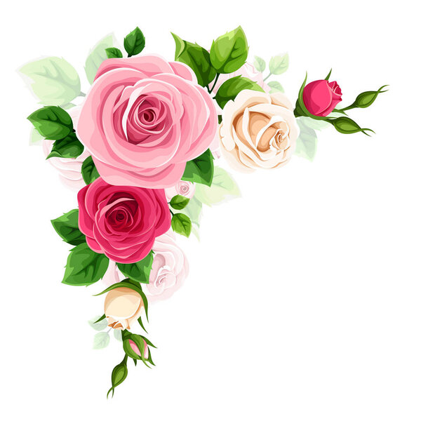 Roses corner border. Red, pink, and white roses corner design element isolated on a white background