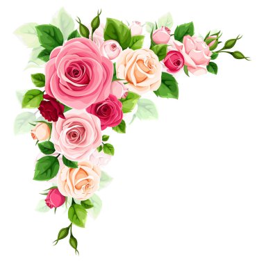 Güller köşesi sınırı. Kırmızı, pembe ve beyaz gül köşeli tasarım elementleri beyaz arka planda izole edilmiştir. Vektör illüstrasyonu