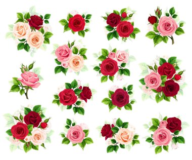 Gül seti. Beyaz arka planda izole edilmiş kırmızı, pembe ve beyaz güller. Büyük vektör tasarım elemanları kümesi