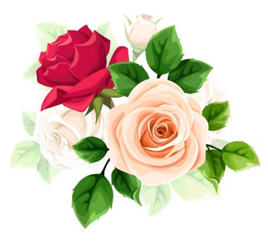 Gül çiçekleri. Kırmızı ve turuncu güller beyaz arka planda izole edilmiş. Vektör çiçek tasarımı ögesi