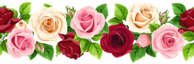 Kırmızı, pembe, beyaz güller ve yeşil yapraklarla yatay, pürüzsüz sınır. Vektörsüz çelenk