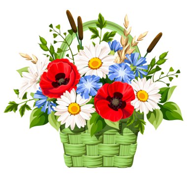 İçinde yabani çiçekler, otlar ve otlar olan bir sepet. Beyaz arka planda izole edilmiş yeşil sepetteki gelincikler, papatyalar ve hindiba çiçekleri. Vektör illüstrasyonu