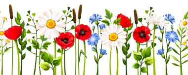 Beyaz papatyalar, kırmızı gelincikler, mavi hindiba çiçekleri, yeşil otlar ve bitkilerle yatay olmayan sınır. Renkli kır çiçekleriyle vektör çiçek arkaplanı