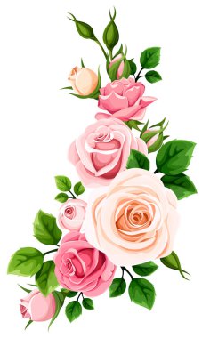 Pembe ve beyaz gül çiçekleri. Beyaz arka planda pembe ve beyaz gül buketli çiçek deseni. Vektör illüstrasyonu