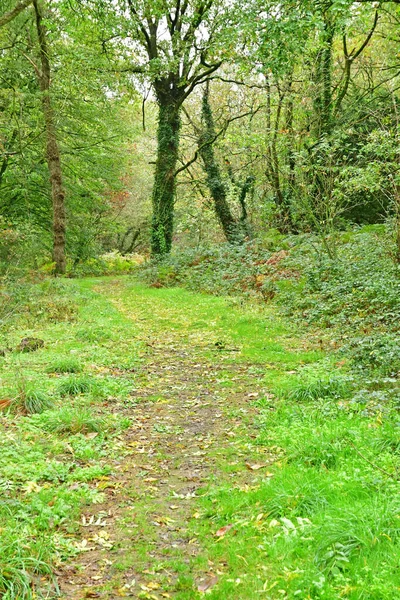 Allaire Francja Października 2022 Mała Ścieżka Lesie Niedaleko Starej Wioski — Zdjęcie stockowe