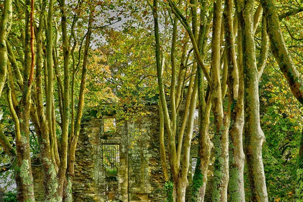 Rochefort Terre Prancis Oktober 2022 Kastil Desa Tua — Stok Foto