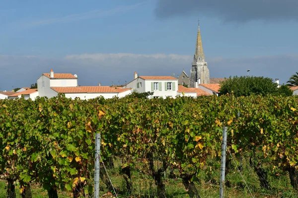 Сент Марі Франція Октобер 2022 Виноградник Мальовниче Село — стокове фото