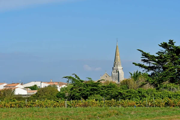 Sainte Marie France October 2022 Vineyard Picturesque Village — 스톡 사진