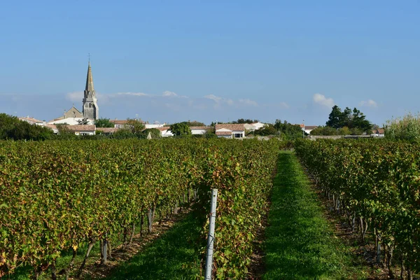 Sainte Marie France Octobre 2022 Vignoble Village Pittoresque — Photo
