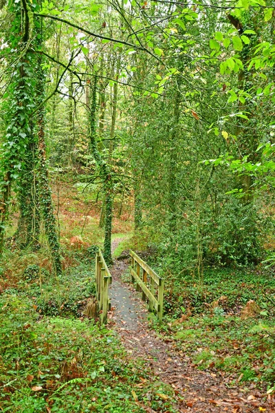 Allaire France October 2022 Little Path Forest Old Village — Stock Photo, Image