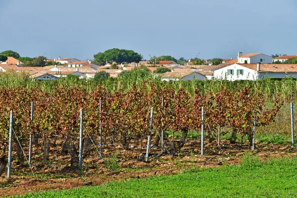 Sainte Marie Frankrijk Oktober 2022 Wijngaard Het Pittoreske Dorpje — Stockfoto