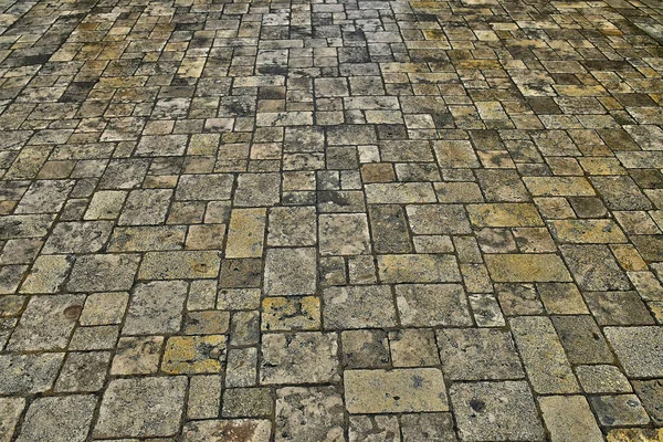 Ars France October 2022 Wet Pavement — 스톡 사진