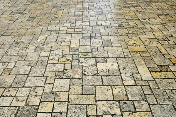 Ars France October 2022 Wet Pavement — 图库照片