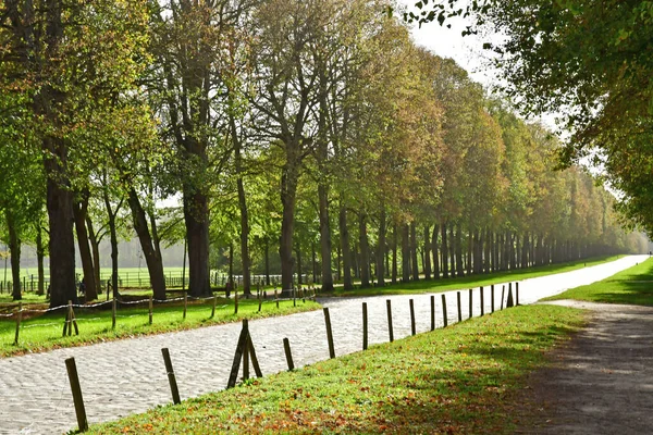 Versailles Francie Listopad 2022 Panství Marie Antoinette Parku Versailles Palace — Stock fotografie