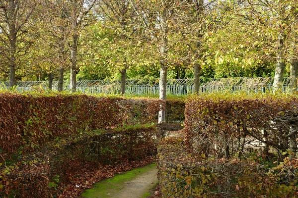 法国凡尔赛 2022年11月19日 凡尔赛宫的玛丽 安托瓦内特庄园的小特里安公园 — 图库照片