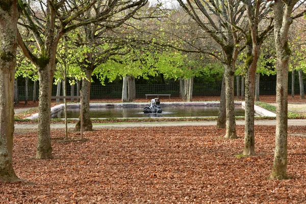 凡尔赛 2022年11月19日 安托瓦内特庄园的大三宝园 — 图库照片