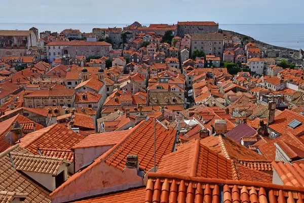 stock image Dubrovnik; Croatia - august 29 2022 : the picturesque old city 