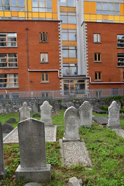 Dublin Rlanda Eylül 2022 Pearse Lyons Içki Imalathanesi — Stok fotoğraf