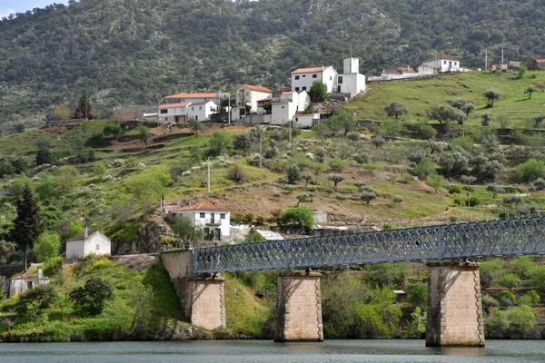 Долина Доро Португалія Марш 2022 Року Мальовнича Річка Біля Піньйо — стокове фото