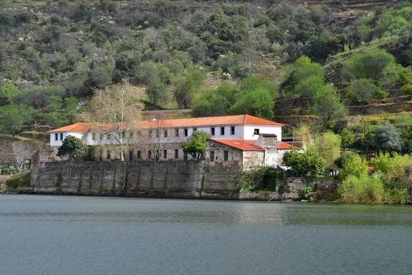 Valle Del Douro Portogallo Marzo 2022 Pittoresco Fiume Vicino Pinhao — Foto Stock
