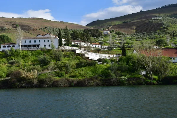 Douro Údolí Portugalsko Březen 2022 Malebná Řeka Pinhao — Stock fotografie