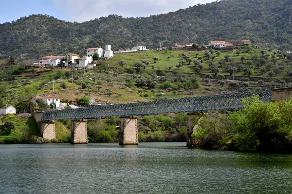 Douro Vadisi Portekiz Mart 2022 Pinhao Yakınlarındaki Pitoresk Nehir — Stok fotoğraf