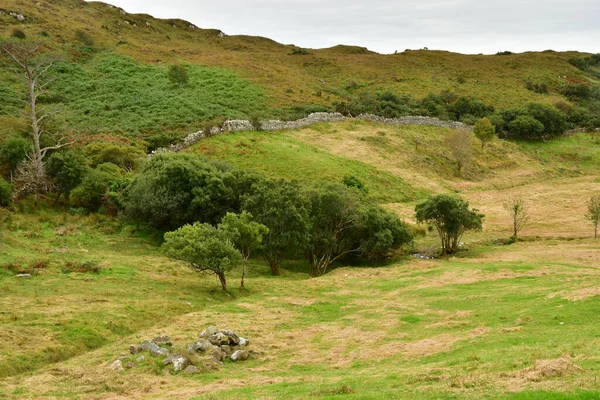 Letterfrack Ιρλανδία Σεπτεμβρίου 2022 Εθνικό Πάρκο Connemara — Φωτογραφία Αρχείου