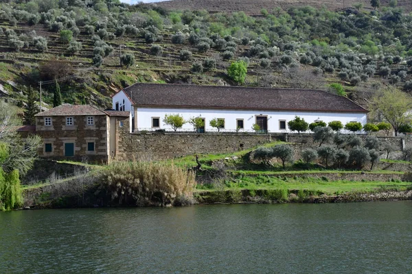 Κοιλάδα Ντούρο Πορτογαλία Μαρτίου 2022 Γραφικός Ποταμός Κοντά Στο Pinhao — Φωτογραφία Αρχείου