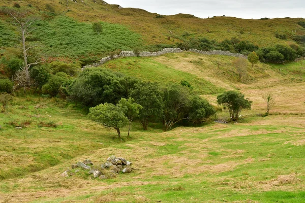 Letterfrack Irlanda Septiembre 2022 Parque Nacional Connemara — Foto de Stock