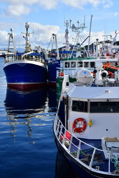 Killybegs Irsko Září 2022 Rybářská Por — Stock fotografie