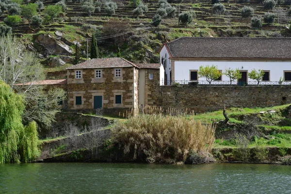 Valle Del Douro Portogallo Marzo 2022 Pittoresco Fiume Vicino Pinhao — Foto Stock
